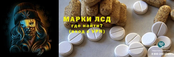 гашик Алексин