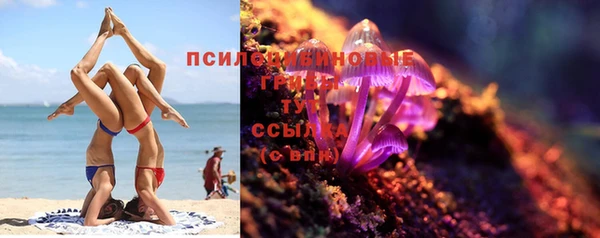 гашик Алексин