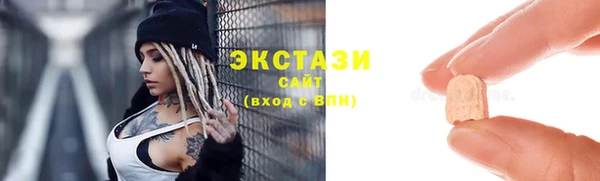 гашик Алексин