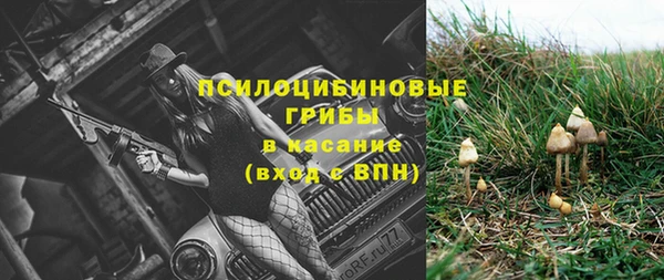 гашик Алексин