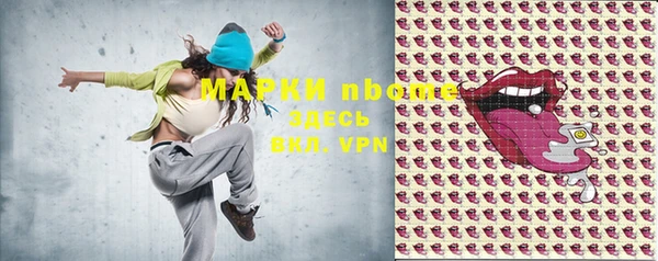 гашик Алексин