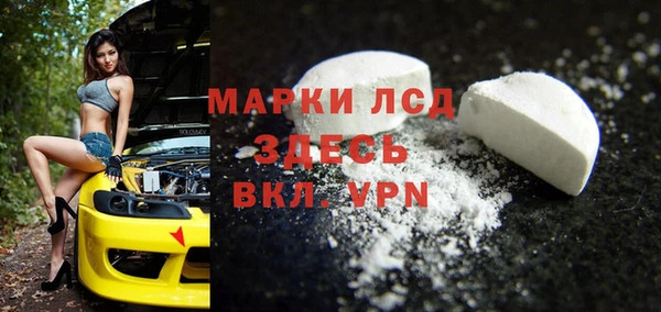 гашик Алексин