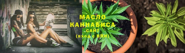 гашик Алексин