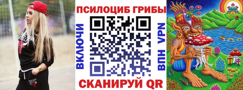 Псилоцибиновые грибы мицелий  Ладушкин 