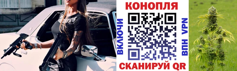 Шишки марихуана гибрид  Ладушкин 